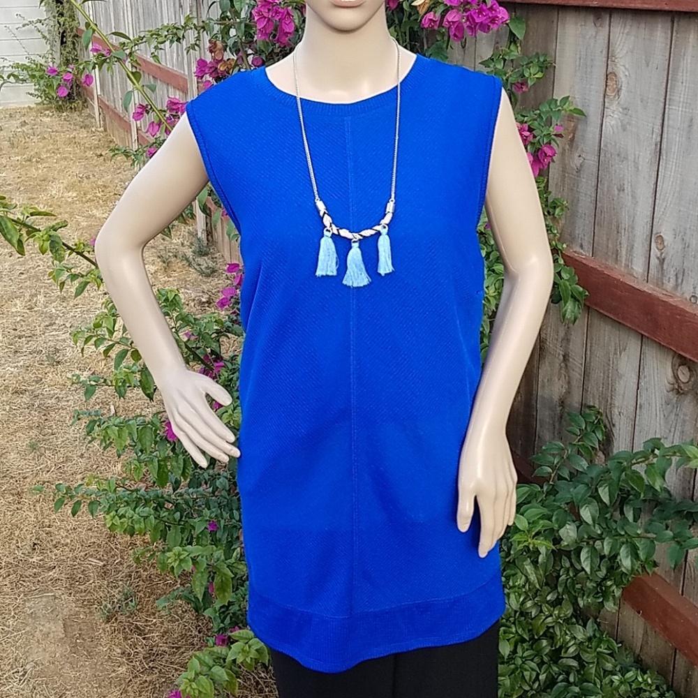 Cute Blue Top    NWT